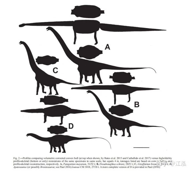 Các nhà cổ sinh vật học tính trọng lượng của khủng long như thế nào? - Ảnh 10.