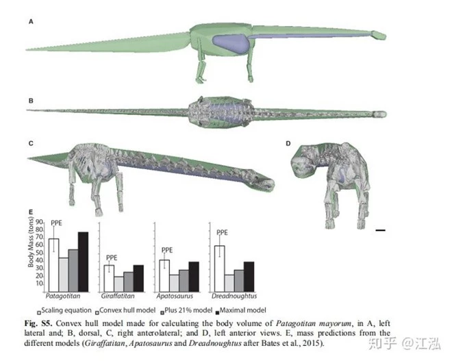 Các nhà cổ sinh vật học tính trọng lượng của khủng long như thế nào? - Ảnh 9.