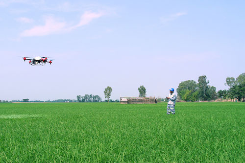 Doanh nghiệp nông nghiệp thích ứng hậu Covid-19