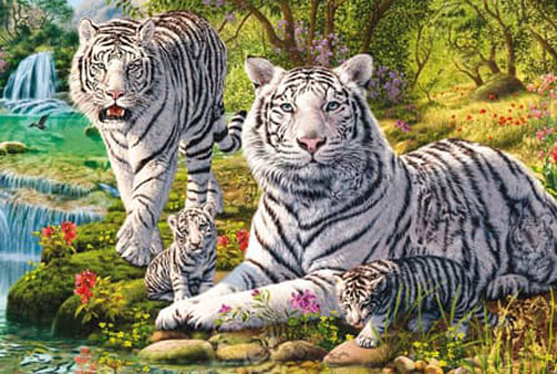 3 con giáp nữ cả đời chỉ dựa vào bản thân mình để có cuộc sống sung túc, tài lộc viên mãn