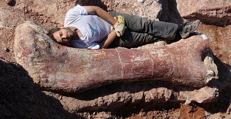 Một khúc xương của hóa thạch khủng long đã được phát hiện.