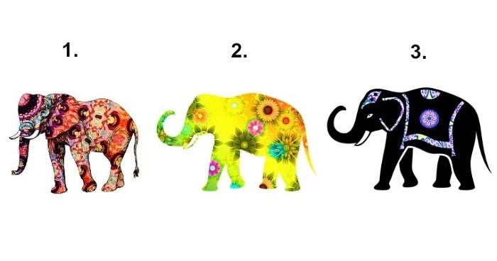 Bạn chọn con voi nào?