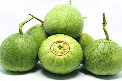 Khi mua dưa, dù to cỡ nào miễn là rốn 'thế này', đảm bảo quả nào cũng ngọt sắc và ngon