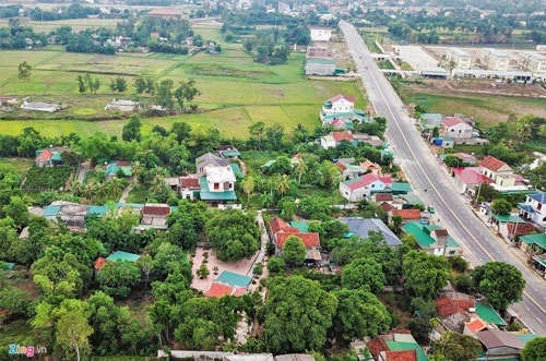 Trong khuôn viên vườn nhà ông Lê Minh Thưởng (82 tuổi) ở xã Nghi Thịnh, huyện Nghi Lộc, tỉnh Nghệ An, có 5 cây thị cổ thụ có tuổi đời 700 năm.