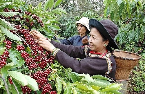 Tăng cường hỗ trợ DN tiếp cận thị trường, phát triển XK bền vững 