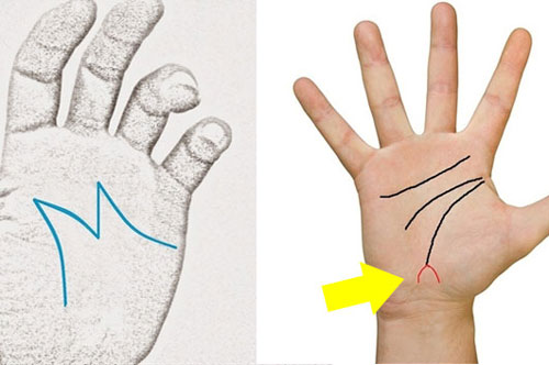 Tướng bàn tay giàu có, mang mệnh quý bà, tiền bạc nắm trong tay có thể hưởng kiếp giàu sang