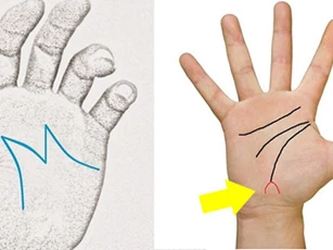 Tướng bàn tay giàu có, mang mệnh quý bà, tiền bạc nắm trong tay có thể hưởng kiếp giàu sang