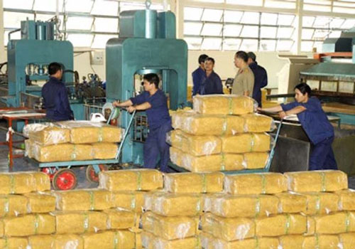 Sản xuất xe hơi suy giảm, xuất khẩu cao su Việt Nam cũng lâm nguy