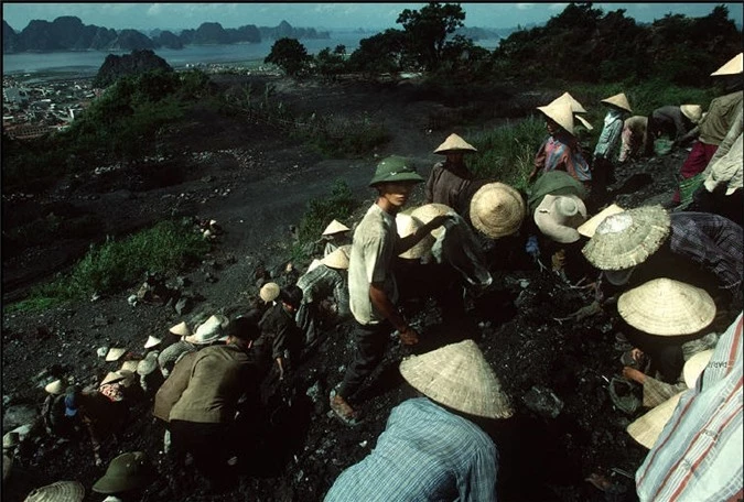 nhip song hoi ha nhon nhip o quang ninh nam 1994 1995