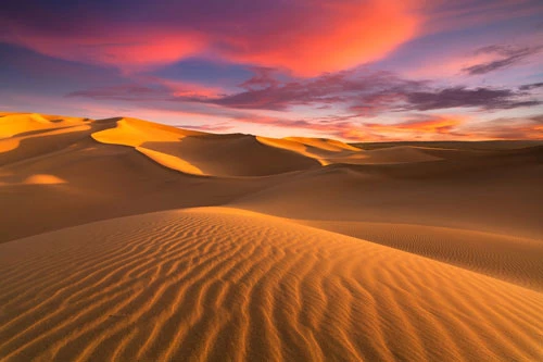 Sahara, hoang mạc lớn thứ 3 trên Trái Đất, nằm tại châu Phi với diện tích hơn 9 triệu km2 và có tuổi đời 2,5 triệu năm. Nhiệt độ trung bình ở Sahara vào mùa hè có lúc đạt tới 49 độ C. Dù thuộc top sa mạc nóng nhất hành tinh, nơi hoang vu này vẫn ẩn chứa nhiều điều thú vị khiến du khách muốn khám phá. Hoạt động cưỡi lạc đà, ngủ qua đêm trên sa mạc, ngắm bình minh hay hoàng hôn là những điều đáng giá bạn có thể trải nghiệm khi đến đây. Ảnh: Shutterstock.
