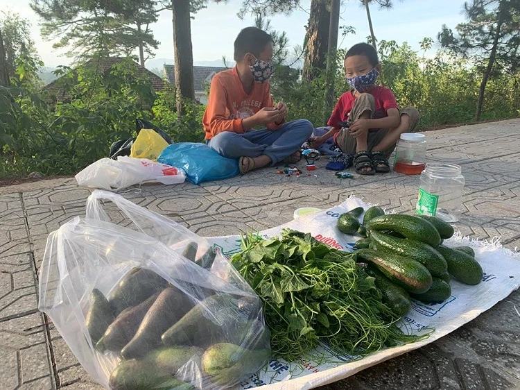 Ngoài giờ học, những đứa trẻ này còn mang rau ra một góc vệ đường Trầ Hưng Đạo - TP. Đà Lạt để bán giúp cha mẹ.