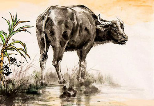 3 con giáp sau cần hết sức cẩn trọng, rất dễ rơi vào cảnh 'cháy túi' trong tháng 5/2020 dương lịch