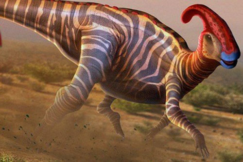 Bí ẩn về sự khác biệt giới tính khủng long đực và cái