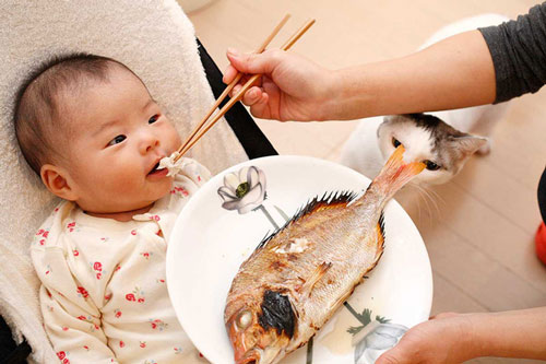 Những loại cá chứa nhiều dinh dưỡng cho trẻ ăn, giúp tăng cường khả năng miễn dịch