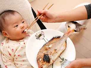 Những loại cá chứa nhiều dinh dưỡng cho trẻ ăn, giúp tăng cường khả năng miễn dịch