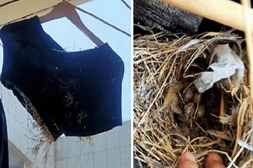 Quay lại KTX sau 3 tháng nghỉ dịch, nam sinh tá hỏa phát hiện vật thể lạ trong chiếc quần bỏ quên