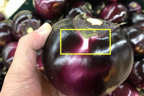 Mua cà tím chỉ cần nhìn vào một điểm duy nhất, đảm bảo chọn đúng quả mềm non
