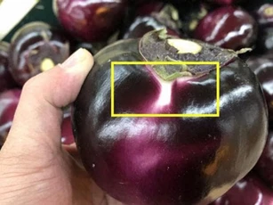 Mua cà tím chỉ cần nhìn vào một điểm duy nhất, đảm bảo chọn đúng quả mềm non