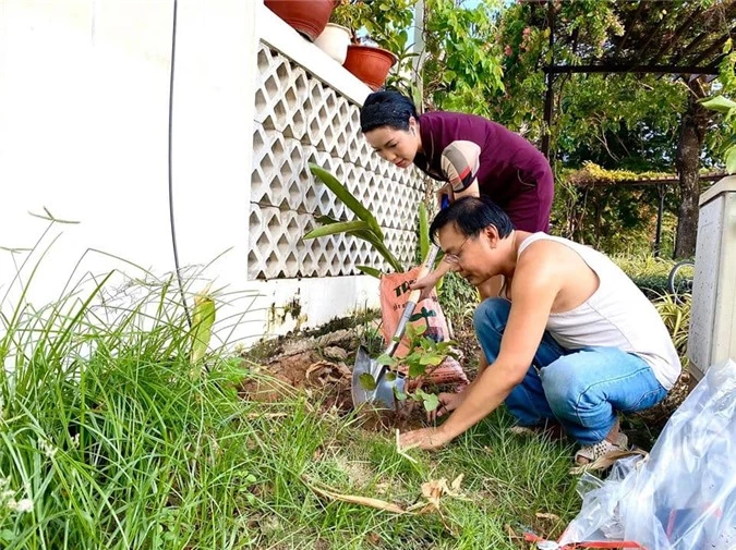 Giàu có hàng đầu showbiz Việt nhưng vợ chồng Trịnh Kim Chi cũng đích thân đào đất, trồng cây 0