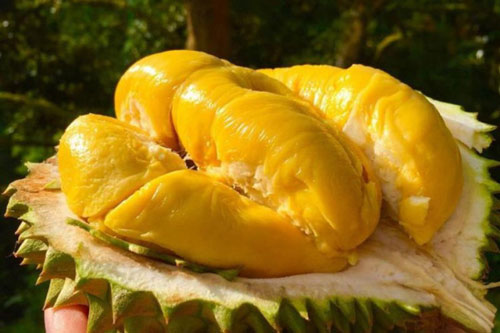 4 thực phẩm đại kỵ với sầu riêng, ăn chung có thể ngộ độc