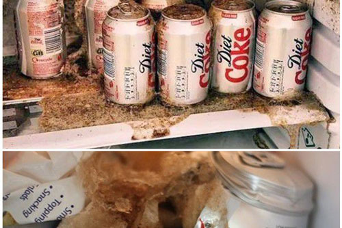 3 thứ nếu để trong ngăn đá sẽ trở thành “bom” dễ khiến tủ lạnh “nổ tung” nguy hiểm tới tính mạng