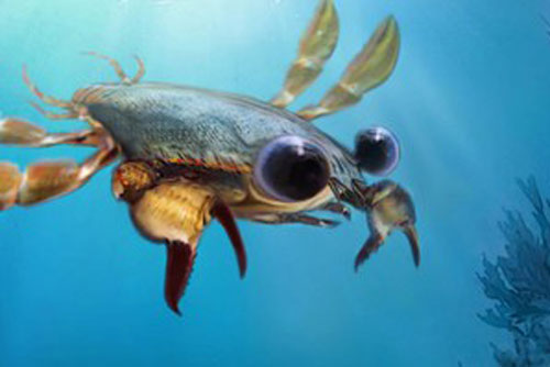 Hóa thạch 90 triệu năm trước hé lộ ngoại hình loài giáp xác kỳ quái