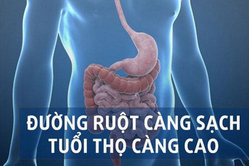 Mỗi ngày uống ly nước từ nguyên liệu rẻ tiền, bếp nhà ai cũng có, cặn bã trong ruột bao nhiêu cũng "bay biến"
