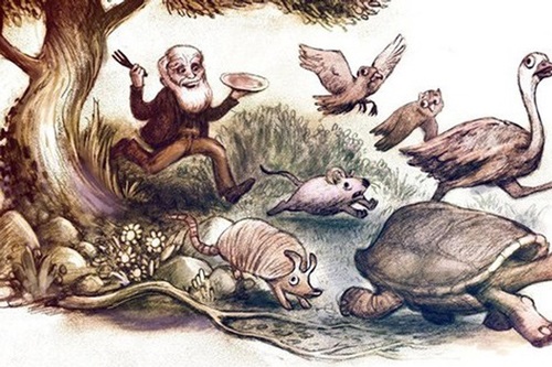 Sở thích ăn uống lạ lùng của Darwin khiến hậu thế không khỏi "hoảng hồn"