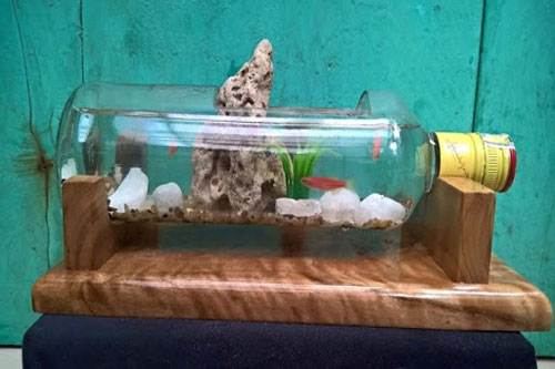 CLIP: Tái chế chai nhựa thành chậu hoa để bàn kèm bể cá mini dễ thương