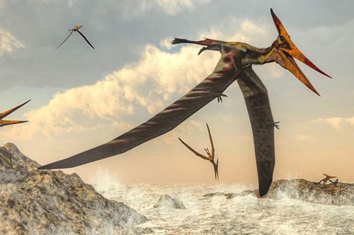 Phát hiện những mảnh hóa thạch của thằn lằn bay đầu tiên tại Cuba