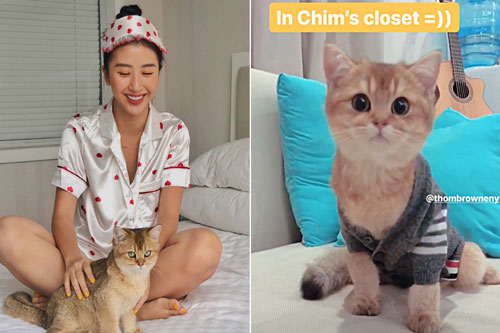 Thú cưng của sao Việt - Hàn diện đồ hiệu xịn không kém chủ
