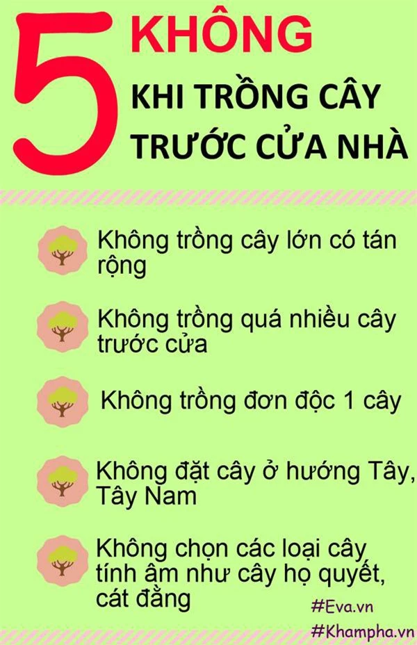 Những loại cây không nên trồng trước cửa nhà để tránh gặp họa - 3