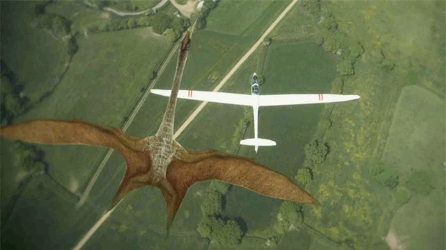 Thằn lằn bay Quetzalcoatlus – Sinh vật khiến khủng long T-rex phải khiếp sợ - Ảnh 4.