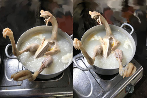 Chồng vào bếp nấu cháo gà, vợ mừng thầm cho đến khi thấy thành phẩm trong nồi