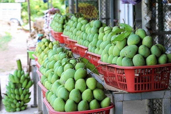 Hỗ trợ Sơn La xúc tiến tiêu thụ nông sản an toàn theo hình thức mới