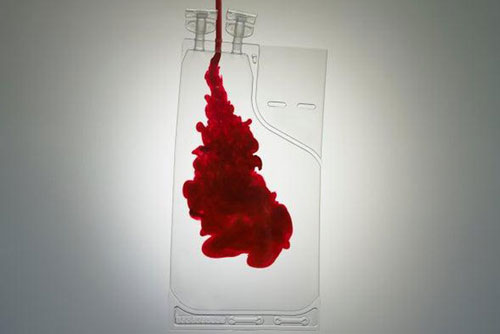 Cô máu thành bột để bảo quản lâu hơn