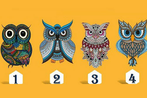 Trắc nghiệm: Bạn thật sự là ai?