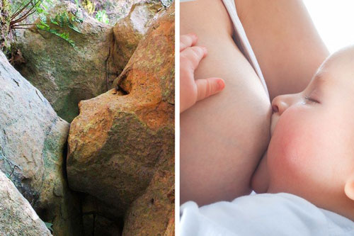 Những hình ảnh thú vị đến từ tự nhiên khiến bạn mỉm cười