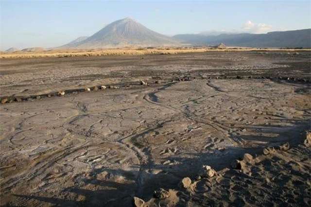 Phát hiện hàng trăm dấu chân hóa thạch cực hiếm của người cổ đại ở châu Phi - 1