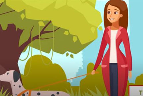 CLIP: 'Xoắn não' với những câu đố có thể khiến bạn phải 'chào thua'