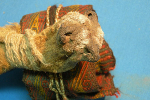 Bí ẩn túi "ma dược" ngàn năm trong mộ cổ