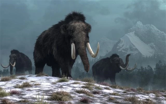 Phát hiện cấu trúc khổng lồ được làm từ xương voi ma mút 25.000 năm trước - Ảnh 2.