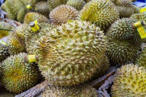 Cách ăn sầu riêng không bị nóng và những người không nên ăn sầu riêng