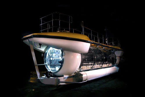 Theo giá niêm yết của nhà sản xuất, chiếc tàu lặn Triton DeepView 24 có giá lên tới 7,7 triệu USD và thời gian chờ nhận tàu là 18 tháng từ khi đặt hàng. Ảnh: Triton.