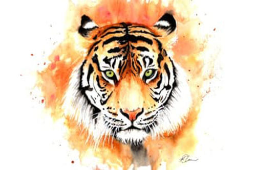 3 con giáp có vận khí hơn người, sự nghiệp dễ thăng tiến vùn vụt trong tương lai, làm việc gì cũng thành công