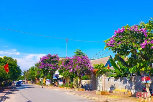 Những góc phố, con đường được tô điểm bằng sắc tím lãng mạn, ngọt ngào