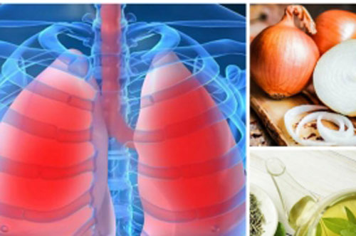 Thực phẩm mát gan bổ phổi, chống lại sự phát triển ung thư, chớ dại mà bỏ qua