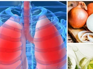 Thực phẩm mát gan bổ phổi, chống lại sự phát triển ung thư, chớ dại mà bỏ qua