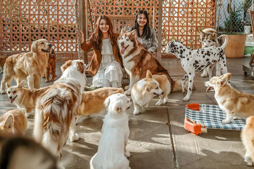 Những quán cà phê thú cưng thu hút giới trẻ check-in tại Đà Lạt