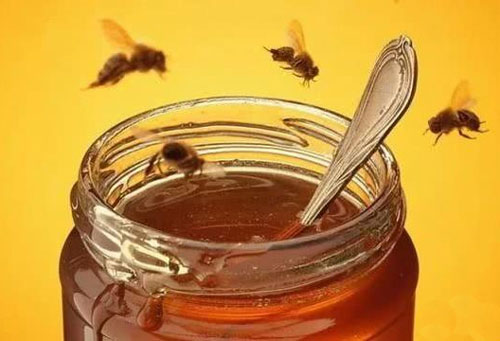 Ai không nên uống mật ong? Trước khi uống mật ong, những điều cấm kỵ này phải được hiểu